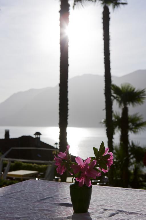 Hotel Primavera Brissago Exteriör bild